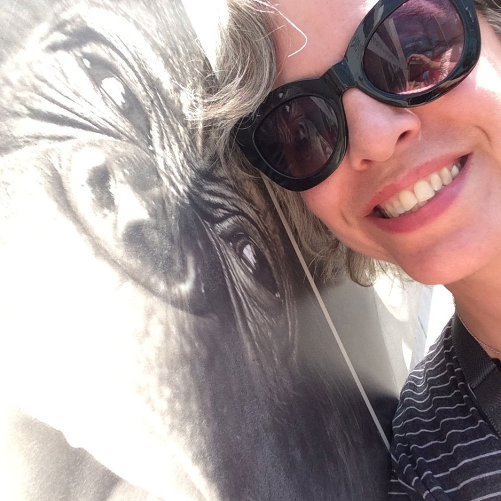 Meet your Posher, Elizabeth